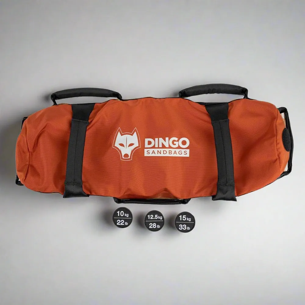 Dingo Sandbags - Small Workout Sandbag